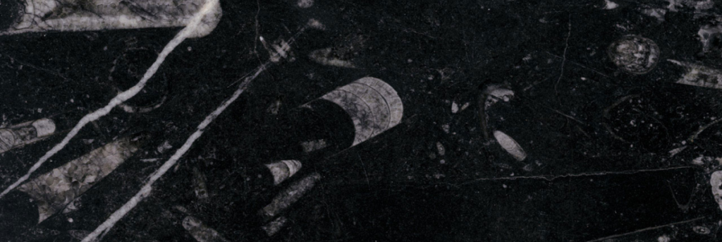 Fossil Black- Unistein Fossil Black - Unistein